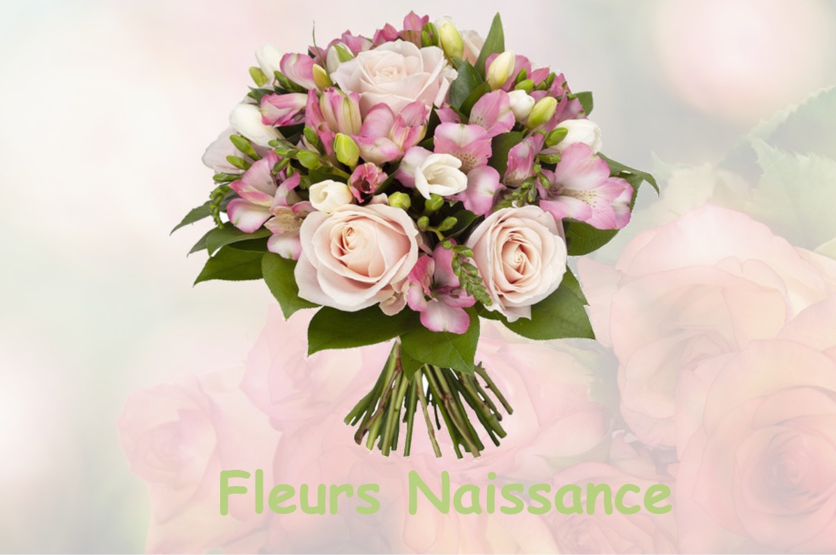 fleurs naissance PRESSAGNY-L-ORGUEILLEUX